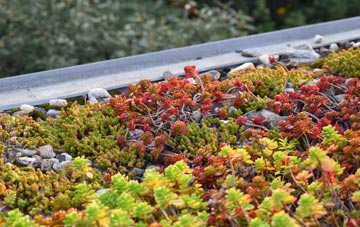 the cost of Hook End green roof installation