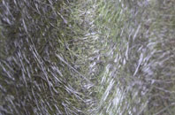 Hook End fibreglass roof work